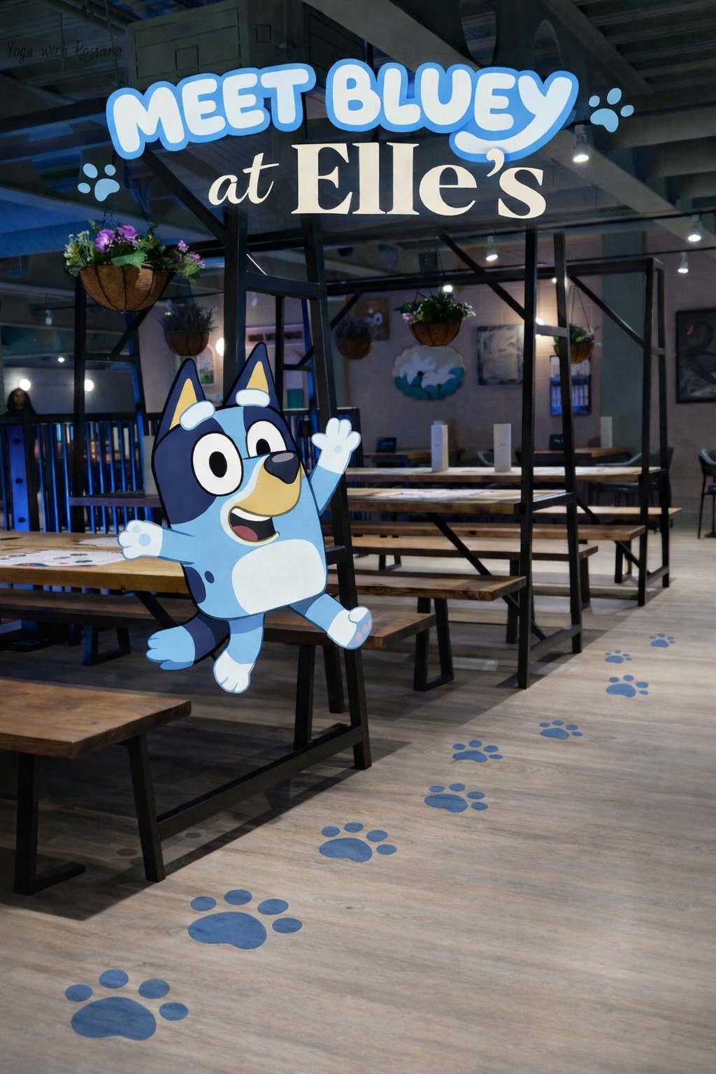 Meet Bluey at Elle's